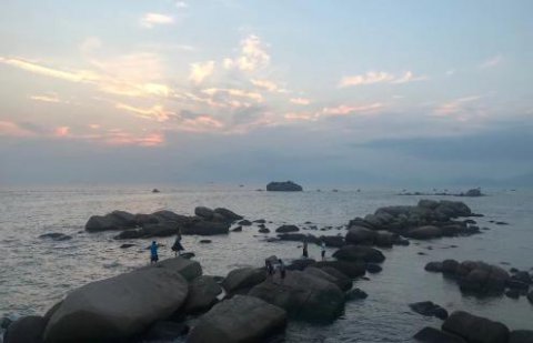 c7娱乐：新的经营模式应当立足在商业模式之上